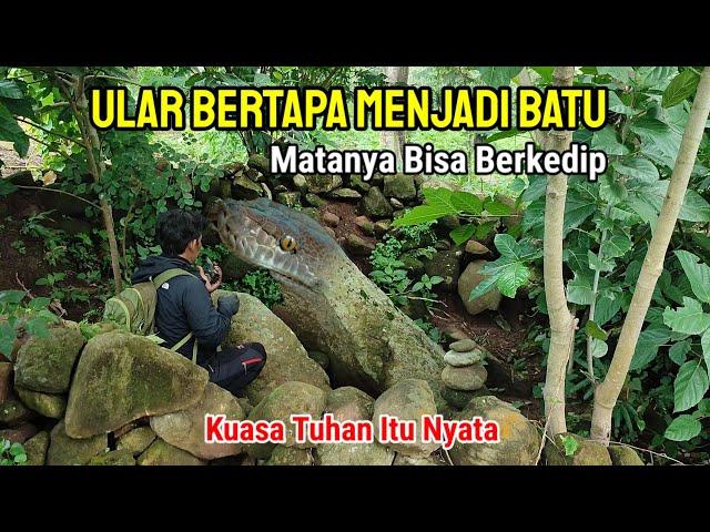 Nyata! Keturunan Majapahit Tunjukkan Ular Bertapa Menjadi Batu