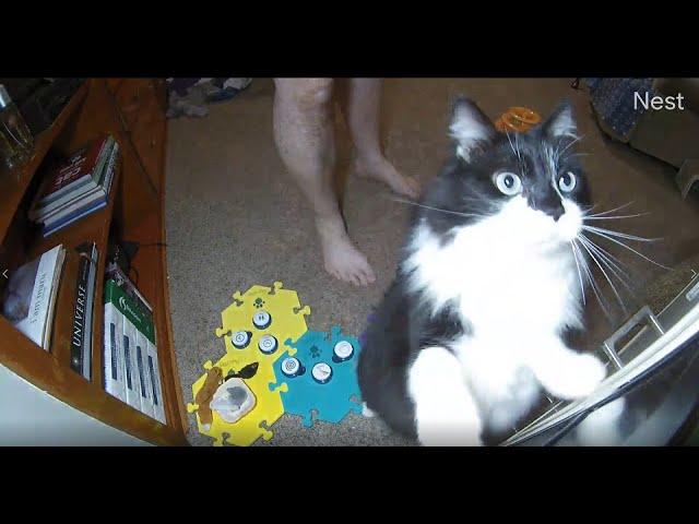 Todd Talks - A Tantrum with Buttons.  Hahaha!