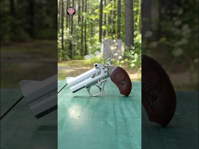 Bond Arms Snake Slayer Derringer