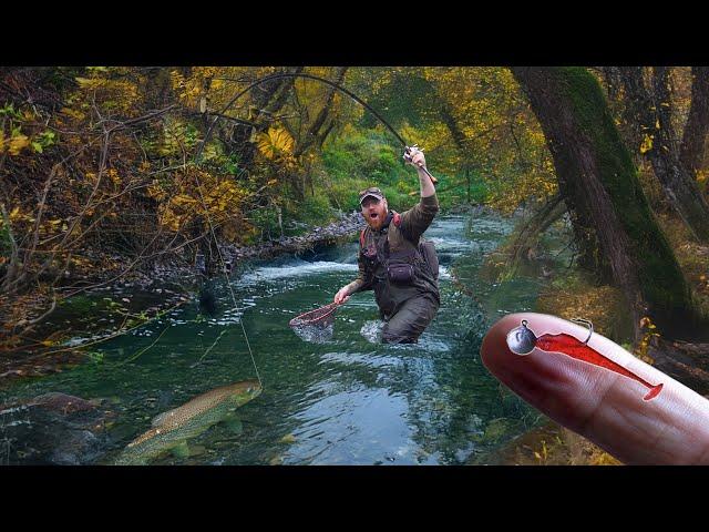 I Can't Believe This River GIANT Ate My Micro Lure!