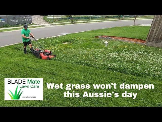 Satisfying lawn mowing   Summer in Australia