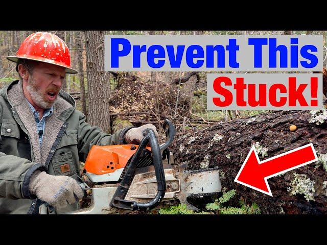 Avoid Getting Your Chainsaw Stuck With This Simple Hack