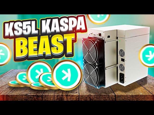 KASPA BEAST MODE!! KS5L - THX Red Panda Mining