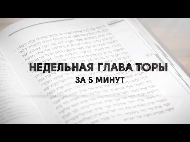 Ки Таво. "Недельная глава Торы за пять минут" реб Давид Мануйлов