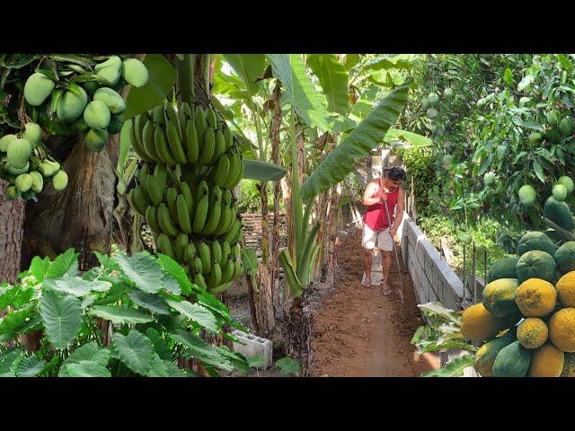 DREAM LIFE IN THE PHILIPPINES. HAPPY LIFE IN THE PROVINCE. Every Day Life.