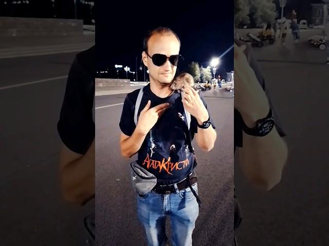 это Саня и КрыСаня,честно это должно быть забавно  #tiktok #shots #rat #reels #саня #агатакристи