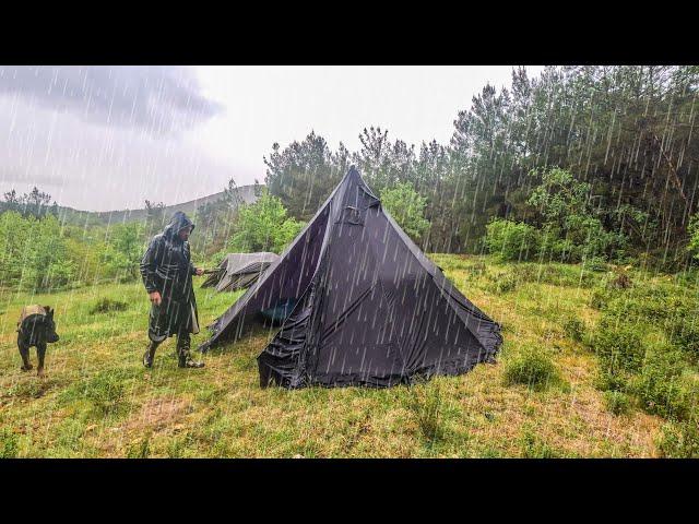 Camping in Rain - Caught in Heavy Rain with my Dog, Thunder, Cooking in Tent, Forest