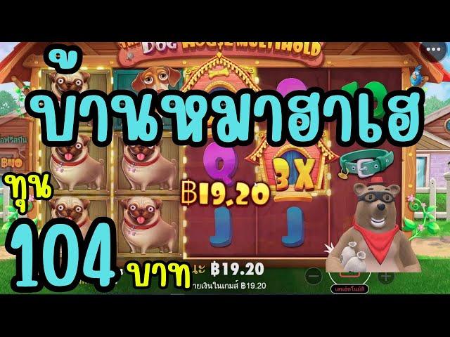 The Dog House Multihold │ Pragmatic Play  บ้านหมาฮาเฮ