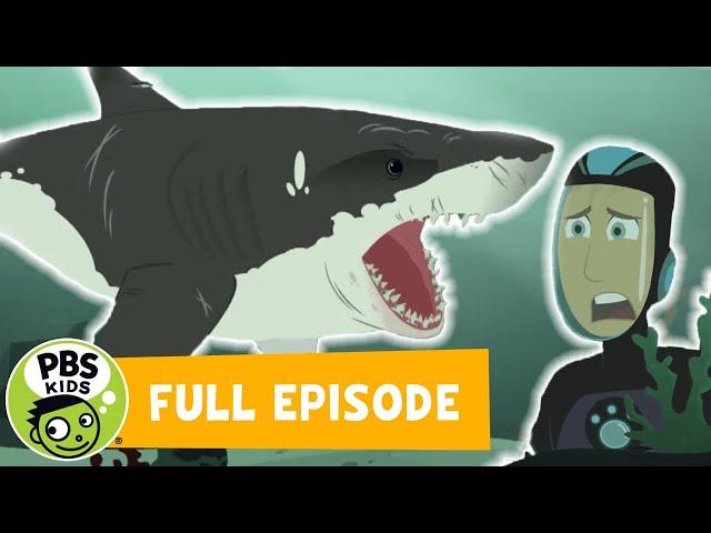 Wild Kratts FULL EPISODE! | Stuck on Sharks | PBS KIDS