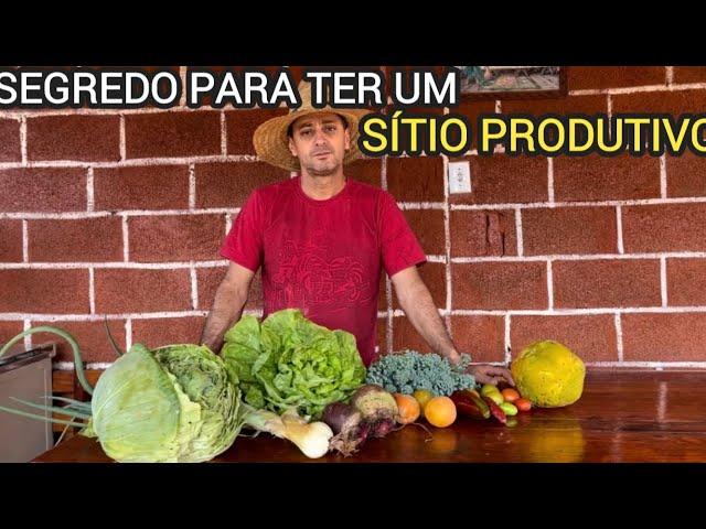 SÍTIO PRODUTIVO DE VERDURAS E MUITA FARTURA DE ÁGUA