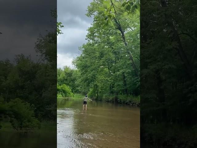 My son throwing a Sunfish he just caught to a Hawk #wildlife #hawk #redtailedhawks #pennsylvania