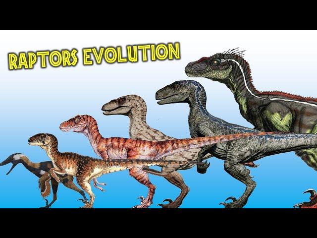 The 10 Different Types Of Raptors