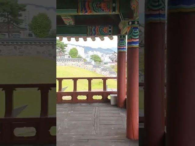 통영 세병관 뒤 정자에 서면 바다보여요- 정자아래 나무는 느티가 아니라 풍게나무 였네요