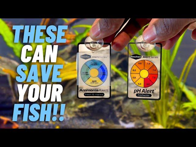 Automatic Water Testing! PH & Ammonia Alert in 400-Gallon Planted Tank