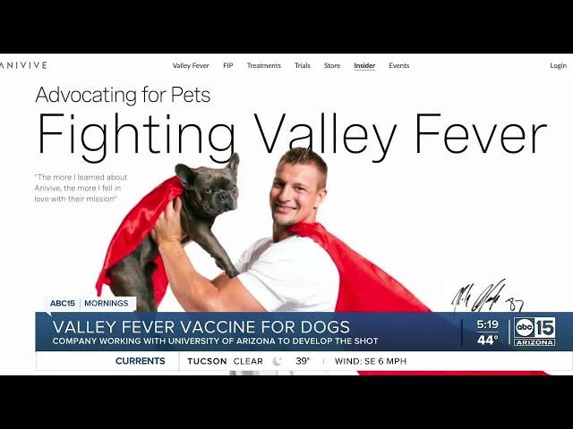 Valley fever vaccine for dogs in the works