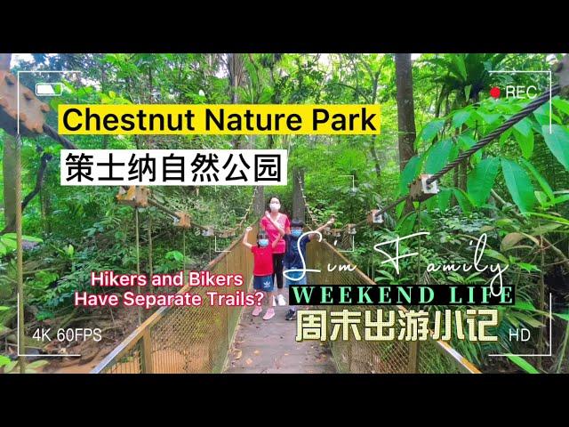 Chestnut Nature Park Singapore | Nature Trail | Healing Sound | Walking Tour #nparks #walkingtour