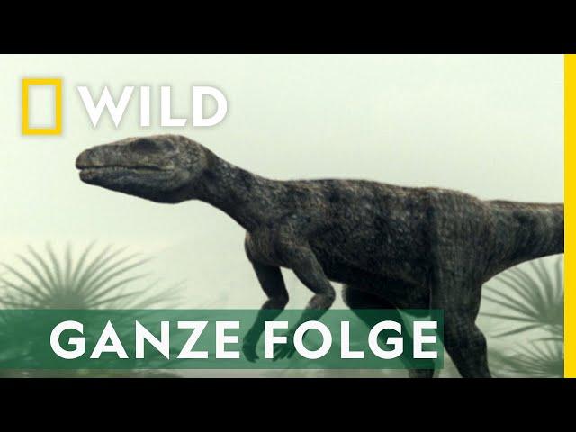 Urzeitriesen in Bewegung - Ganze Folge | Jurassic C.S.I.