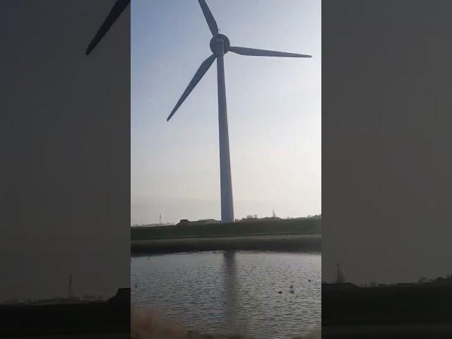 WINDMILLS ARE A FAMOUS AMSTERDAM TOURIST ATTRACTION