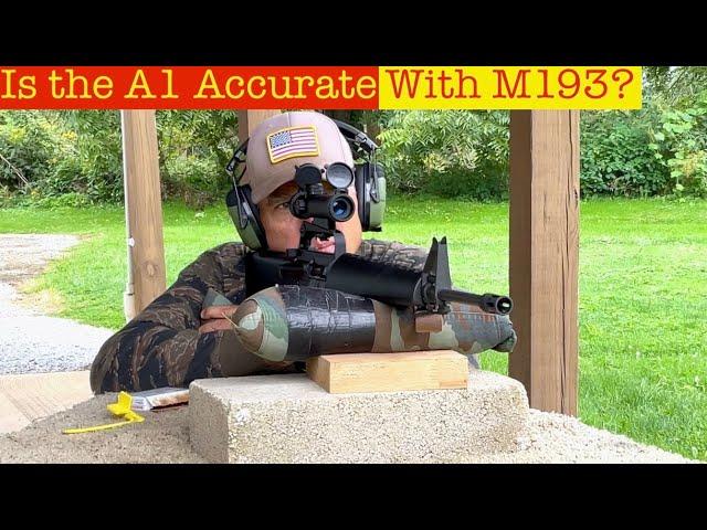 Is the A1 Accurate With M193?