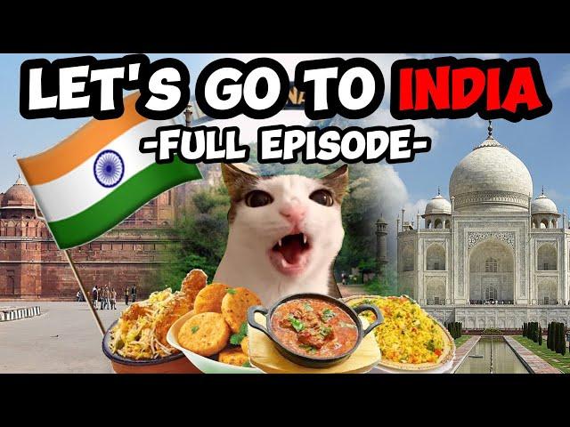 CAT MEMES: FAMILY VACATION COMPILATION TO INDIA + EXTRA SCENES