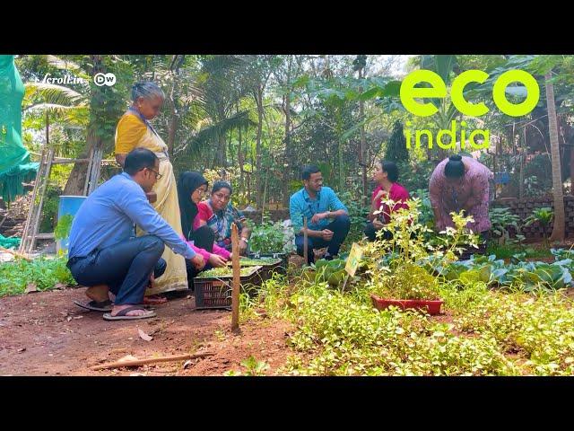 Eco India: How locally grown food is capturing the imagination of urban Indians