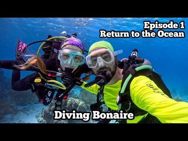 Getting Started At Buddy Dive | Alice In Wonderland, Hilma Hooker | Diving Bonaire '24 Ep 1