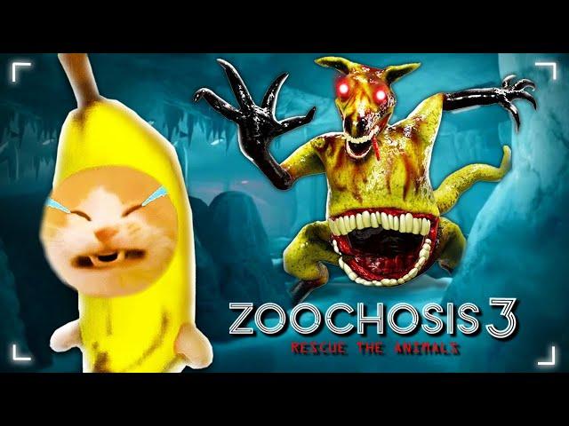 Banana Cat vs. Zoochosis Monsters: A Rescue Mission by Apple Cat!  Baby Banana Cat Compilation 