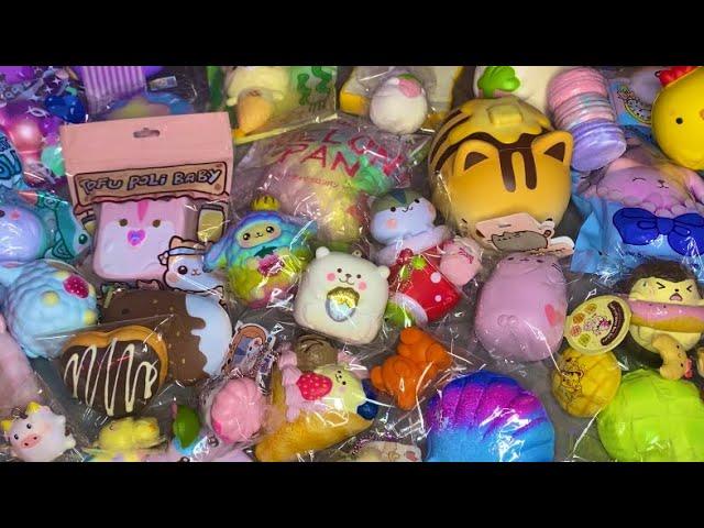 Updated Squishy Collection 2021