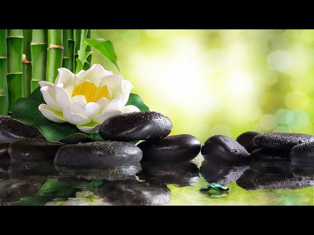 Relaxing Piano Music: Soft Sleep Music, Water Sounds, Meditation Music, Relaxing Music 102