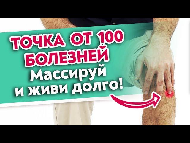 Точка долголетия от ВСЕХ болезней! Как найти Цзу-сань-ли? Точка от 100 болезней