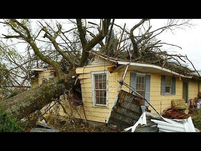 Dangerous Fastest Idiots Cutting Tree Fails Skill With Chainsaw, Tree Falling on Houses Compilation