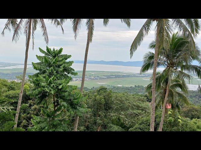 Papuntang bundok