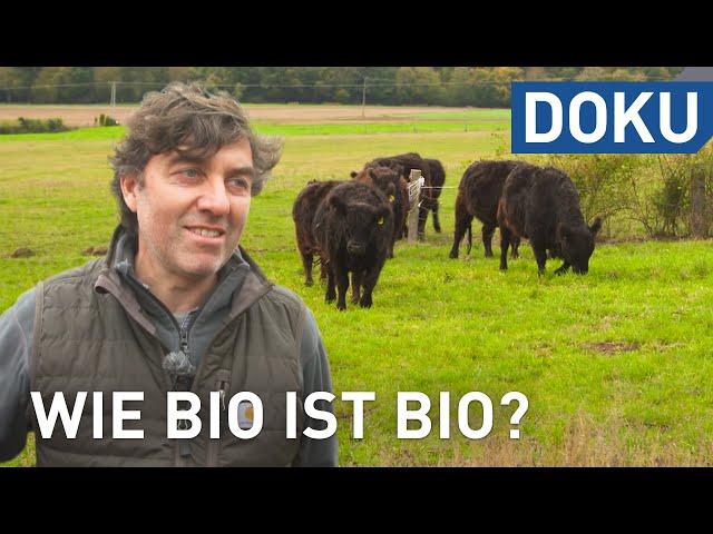 Wie bio ist Bio? | doku | hessenreporter