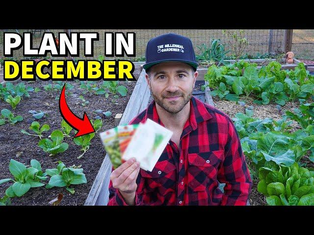 20 Veggies You Can Plant In December RIGHT NOW!