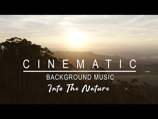 (No Copyright) Cinematic Background Music - Into The Nature Vol. 01