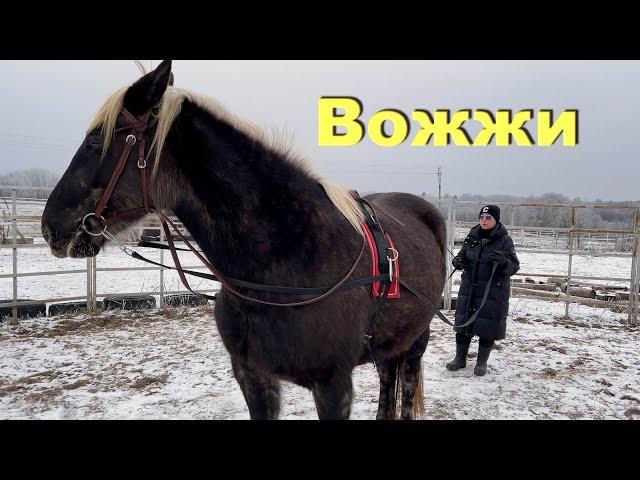 Принципы работы на вожжах