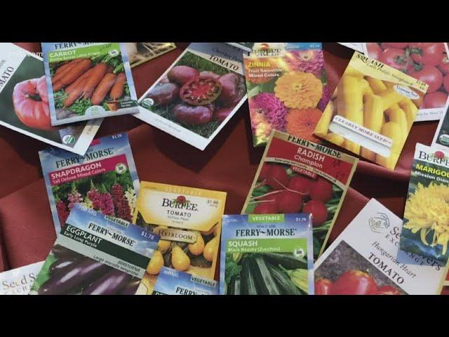 You Can Grow It: successful gardens start with good seeds