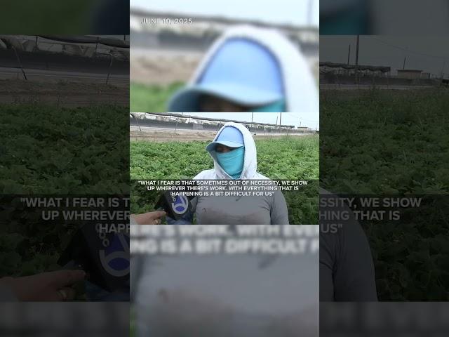 ICE targets workers on produce farms in California
