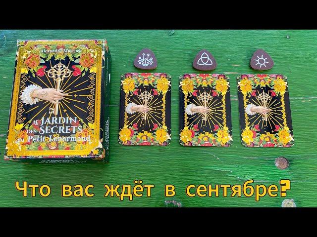 ЧТО ВАС ЖДЁТ В СЕНТЯБРЕ?  гадание на Ленорман Lenormand Reading