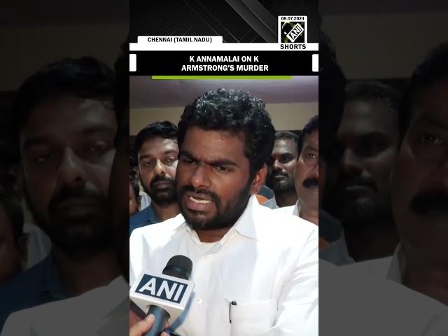 ‘TN, a land where murders are happening…’ K Annamalai on TN BSP Prez Armstrong’s murder