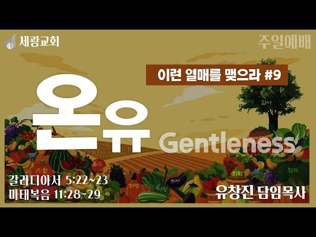 [세광교회-주일예배] 온유 (Gentleness) | 유창진 담임목사 | 2024-1201