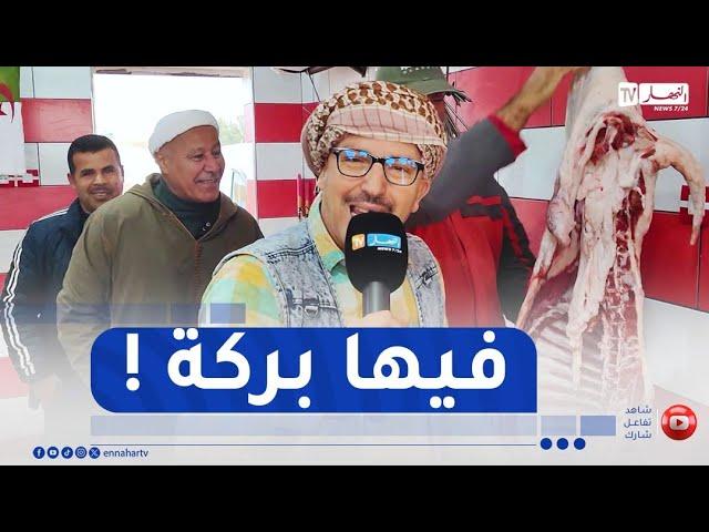 النوي في ميدان غليزان..لحم خروف غير بـ260 ألف !