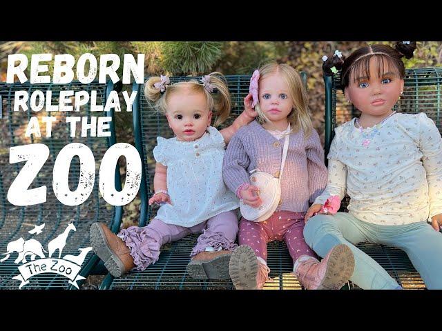 Outing with Reborn Toddler Dolls | The ZOO  #reborn #rebornbaby #roleplay