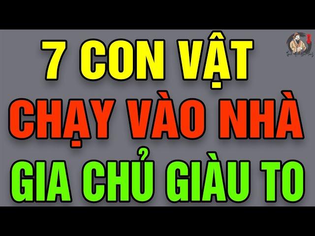 7 Con Vật Này Chạy Vào Nhà Dịp TẾT ĐẢM BẢO GIÀU TO, GIA Chủ Phát Tài NỔ Lộc |THCS