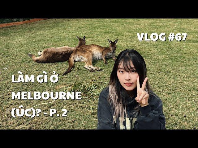 VLOG #67: LÀM GÌ Ở MELBOURNE (ÚC)? - P. 2 | duongfynn