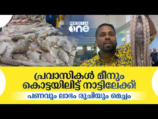 പ്രവാസികൾ മീനും കൊട്ടയിലിട്ട് നാട്ടിലേക്ക്! പണവും ലാഭം രുചിയും മെച്ചം | Dubai | Pravasi | Fish