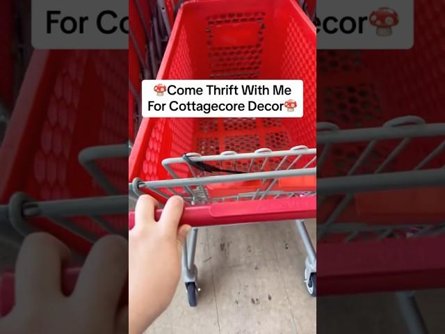 Come thrift with me for cottagecore decor! #cottagecore