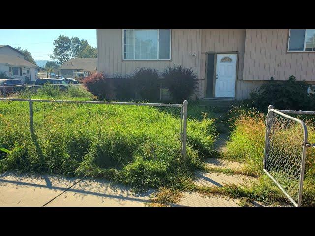 Man Recovering From Sickness Gets A FREE Yard Makeover