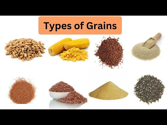 Grain Vocabulary // Grains Names in English @LearnwithSmaranika