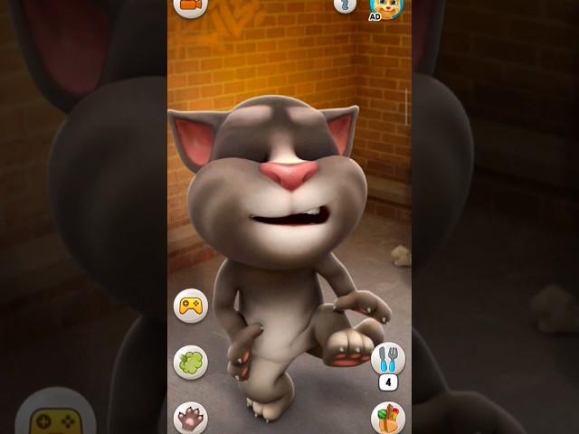 Cute vairal talking tom cat 2024 #funny #vairal #youtubeshorts